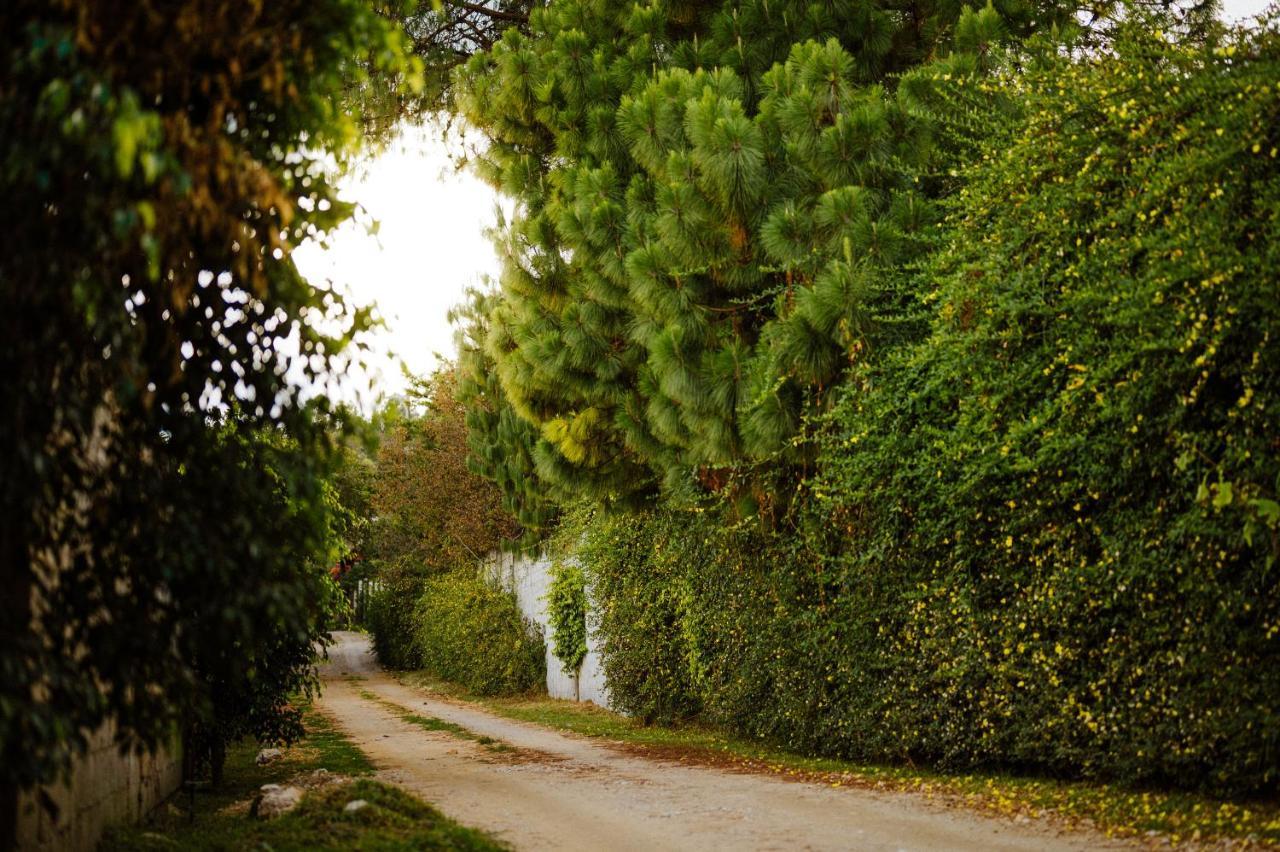 Villas Na San Cristóbal de Las Casas Exteriér fotografie